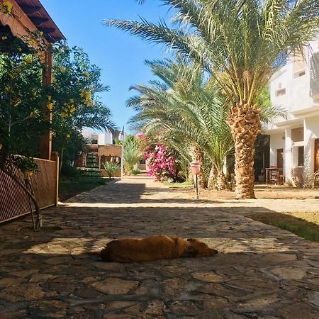 Jowhara Hotel Dahab Exterior photo