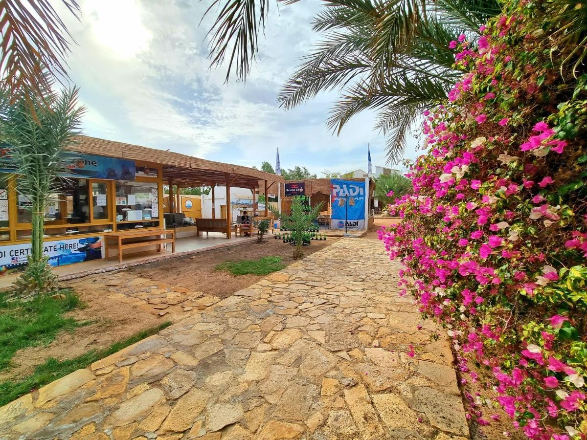 Jowhara Hotel Dahab Exterior photo