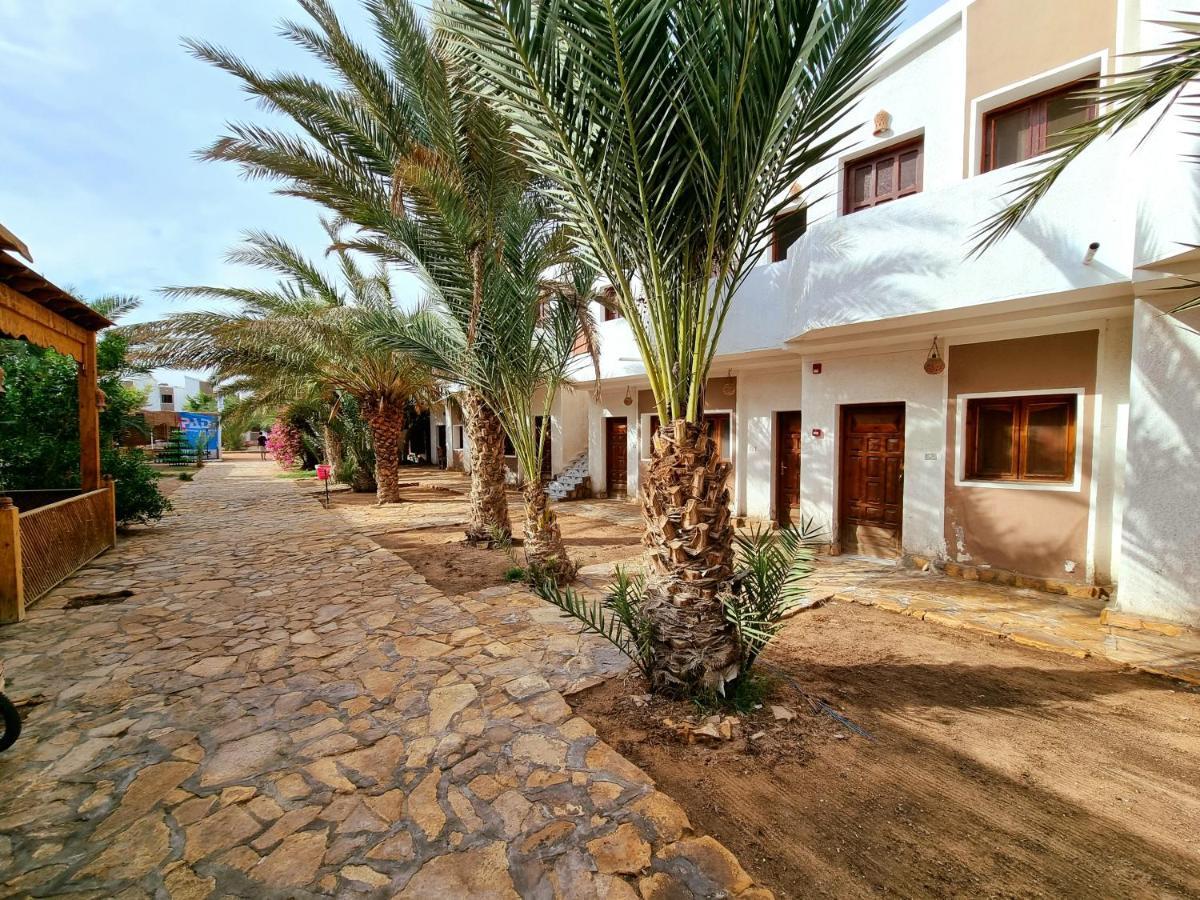Jowhara Hotel Dahab Exterior photo