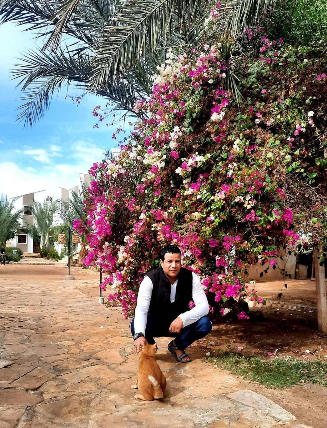 Jowhara Hotel Dahab Exterior photo